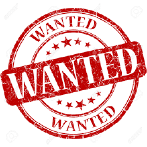 Container Kings Thailand Dealers Wanted Container Kings Thailand Dealers Wanted